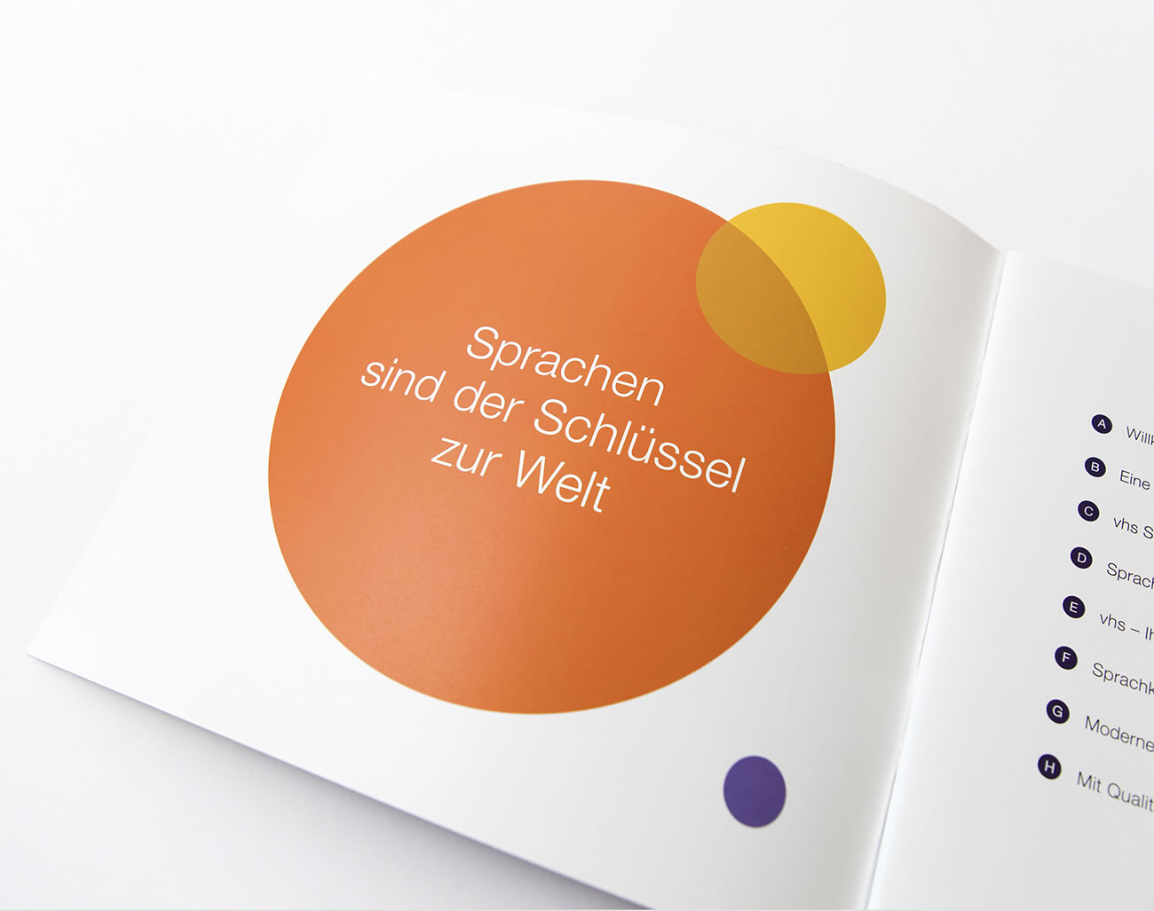 Petra Zimmerer, Büro für Gestaltung, Print, Broschüre, Bayerischer Volkshochschulverband, Broschüre, Sprachen Infografik